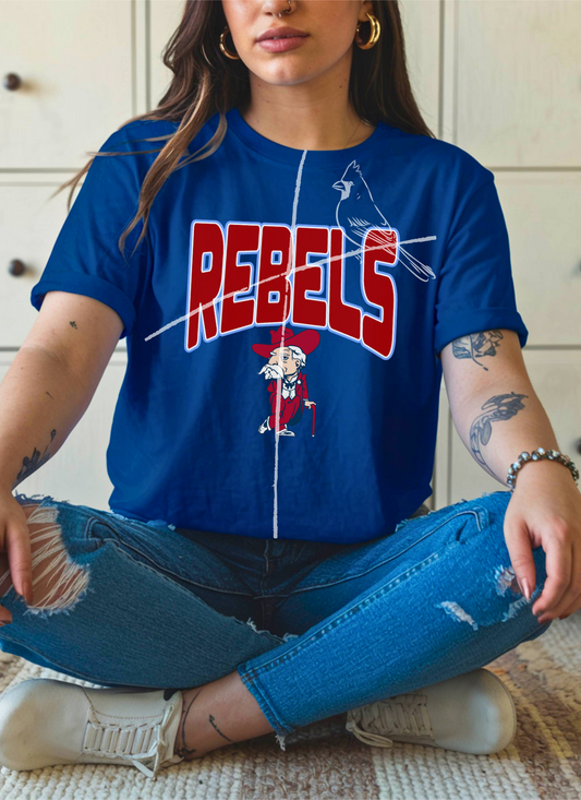 COLONEL REB | Comfort Colors